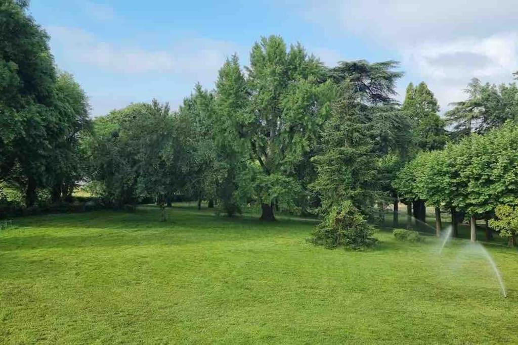 Chateau D'Issandou Golfech Extérieur photo