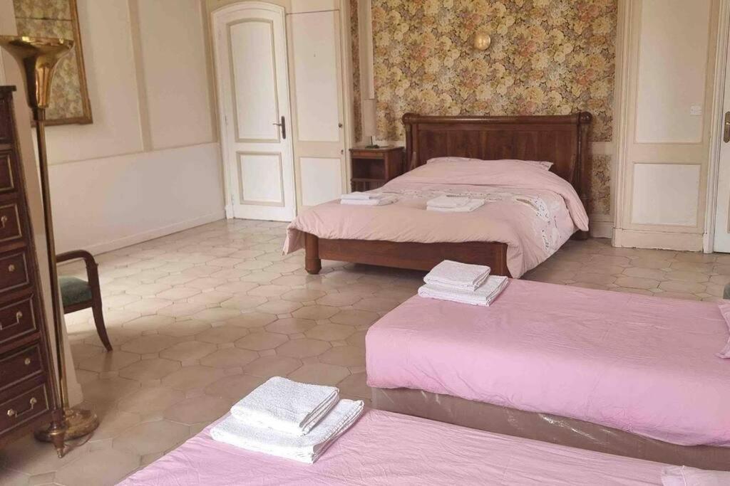 Chateau D'Issandou Golfech Extérieur photo